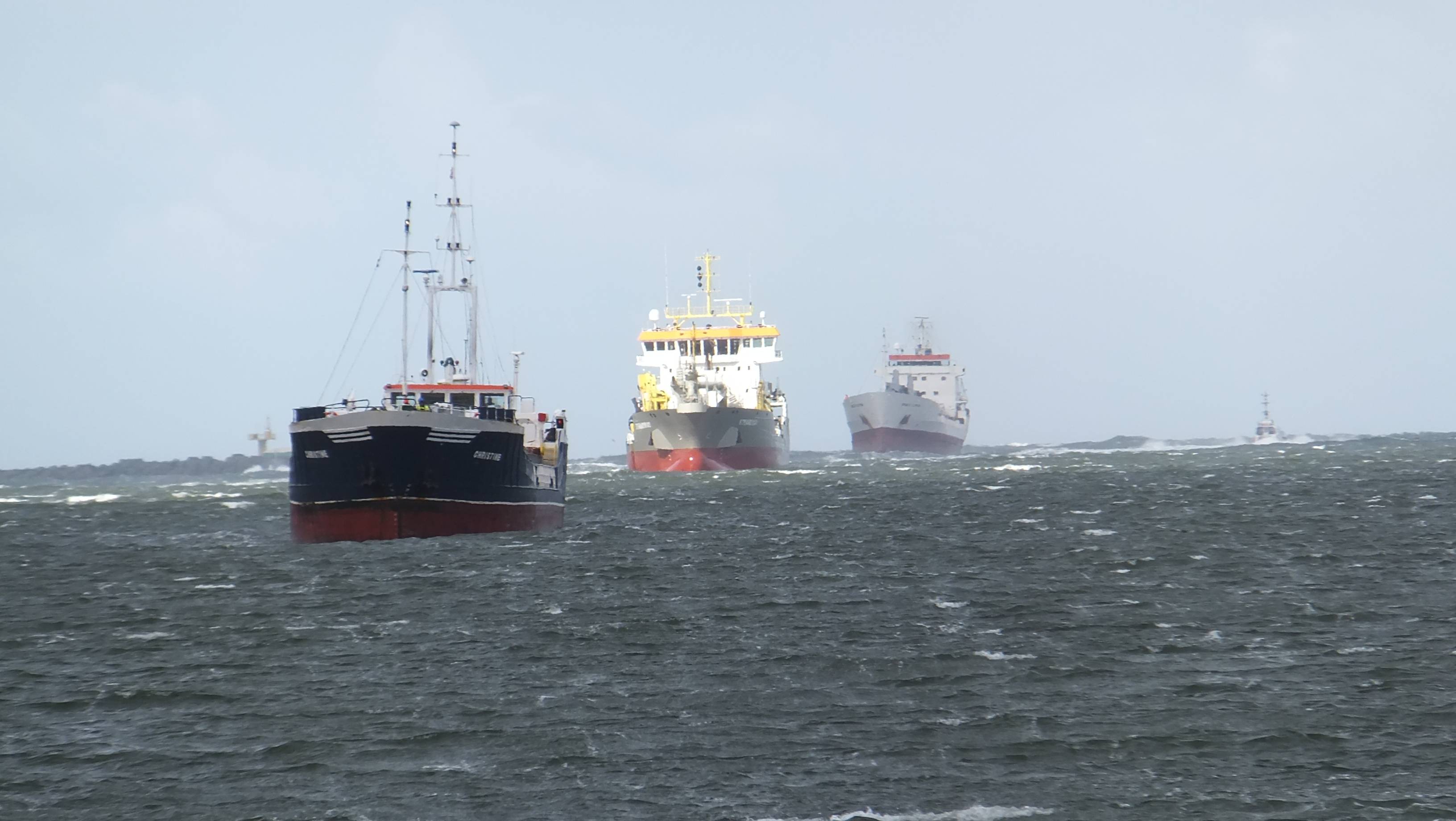 Pieren IJmuiden 4-9-15 